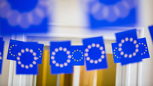 Kuvassa pieniä EU-lippuja