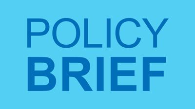 Policy Brief logo